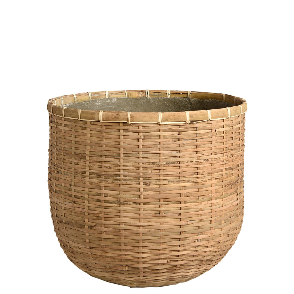 Bamboo Pot - Bloomr