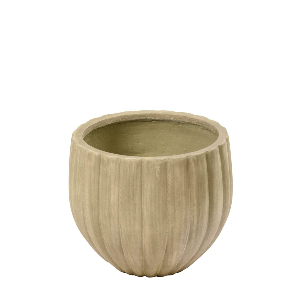 Small Round Ficonstone Tree Pot - Bloomr