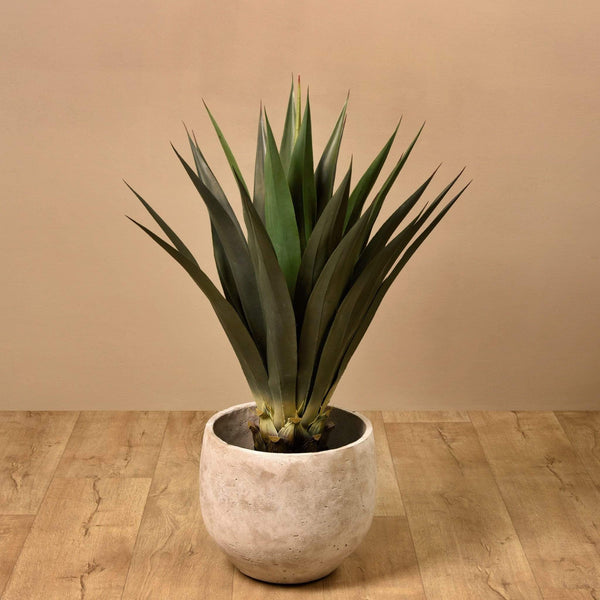 Artificial Agave - Bloomr