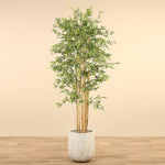 Artificial Bamboo Tree <br> 210cm - Bloomr