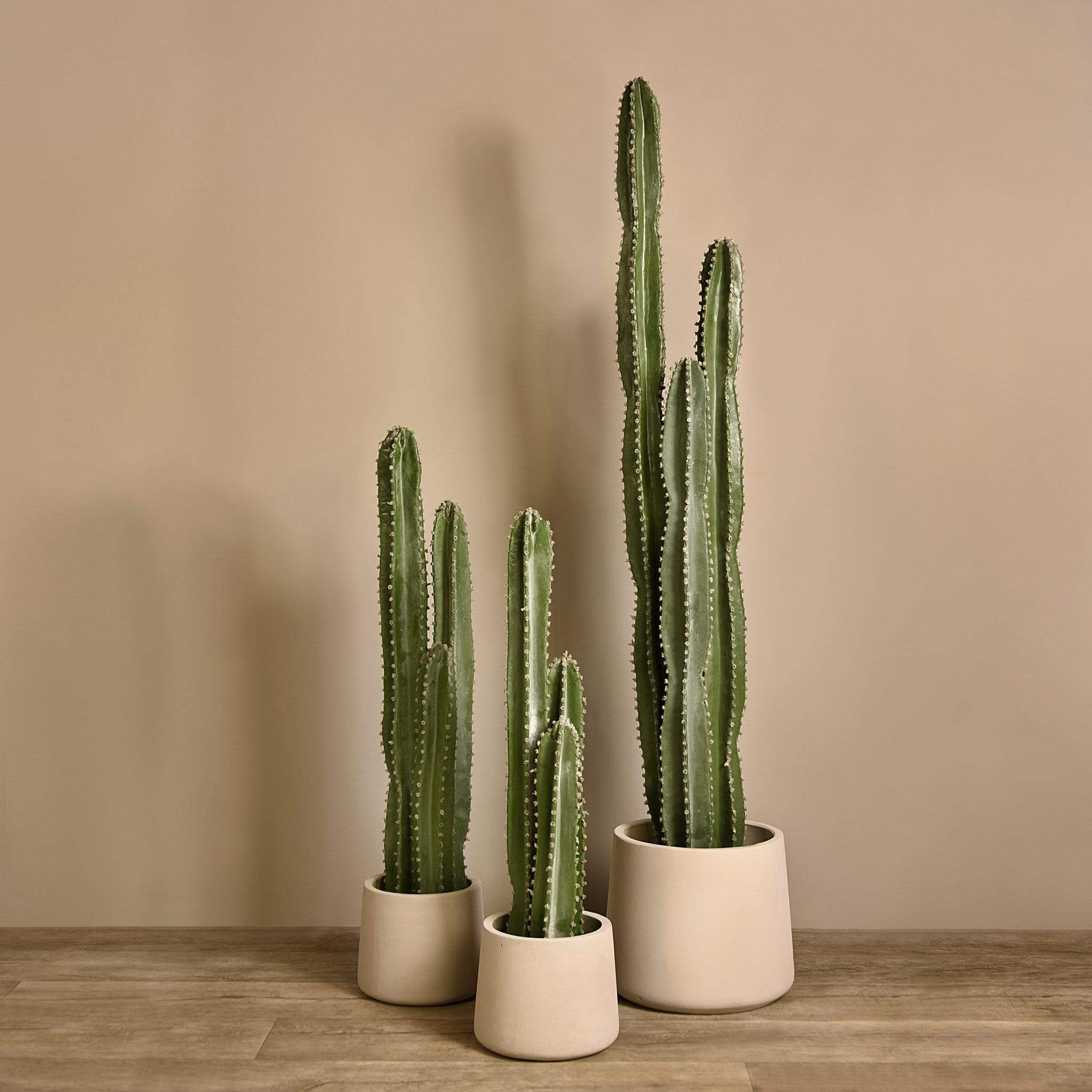 Artificial Cactus Plant - Bloomr