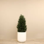 Artificial Cypress Tree<br> 120cm - Bloomr