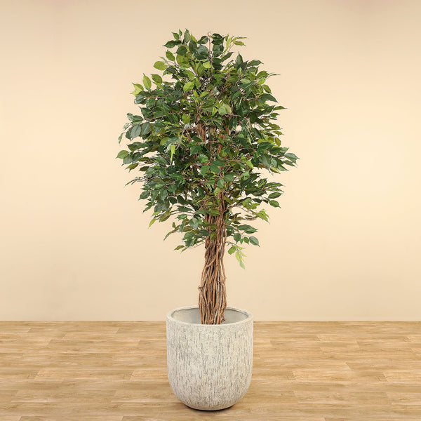 Artificial Ficus Tree <br> 210cm - Bloomr