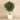 Trees-Artificial Ficus Tree <br> 300cm-Bloomr