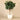 Trees-Artificial Fiddle Leaf Tree <br> 270cm-Bloomr