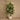 Trees-Artificial Fiddle Tree <br> 180cm-Bloomr