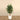 Trees-Artificial Lemon Tree <br> 150cm-Bloomr