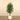 Trees-Artificial Lemon Tree <br> 180cm-Bloomr