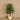 Trees-Artificial Longifolia Tree <br> 120cm-Bloomr