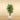 Trees-Artificial Longifolia Tree <br> 150cm-Bloomr