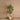 Trees-Artificial Olive Tree <br> 150cm-Bloomr