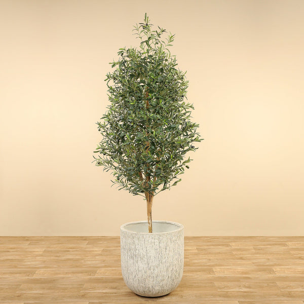Artificial Olive Tree <br> 210cm - Bloomr
