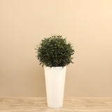 Artificial Olive Tree <br> 90cm - Bloomr