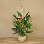 Artificial Peace Lily - Bloomr