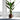 Trees-Artificial Strelitzia Tree <br> 190cm-Bloomr