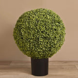 Artificial Boxwood Ball - Bloomr