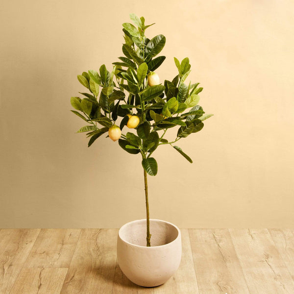 Artificial Lemon Tree - Bloomr