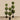 Trees-Boxwood Ball Tree <br> 120cm|160cm|180cm-Bloomr